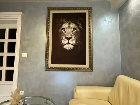 Izdavanje, jednosoban stan, 60m², Centar, Tivat - image 6