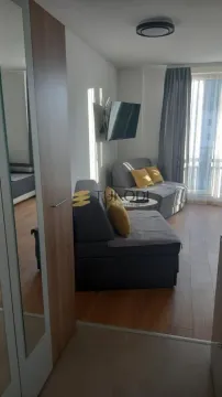 Izdavanje, garsonjera, 24m², Kraljevi Čardaci, Kopaonik - image 7
