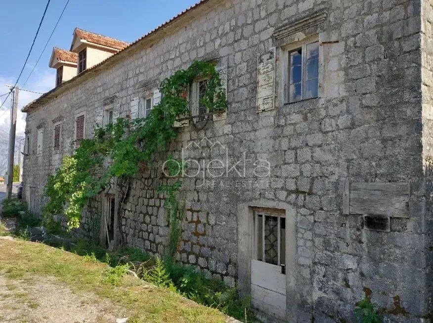 View of the stone facade of an old house with a grapevine.