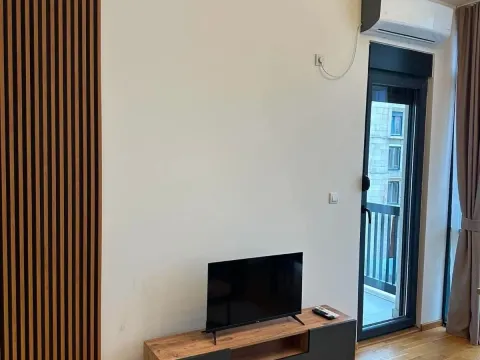 Rent, studio apartment, 29m², Zabjelo, Podgorica - image 7