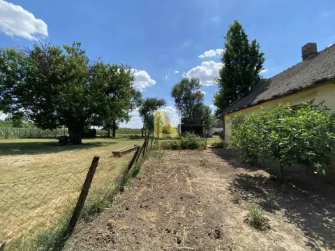 Prodaja, plac, 8023m², Bečej, Novi Sad - image 17