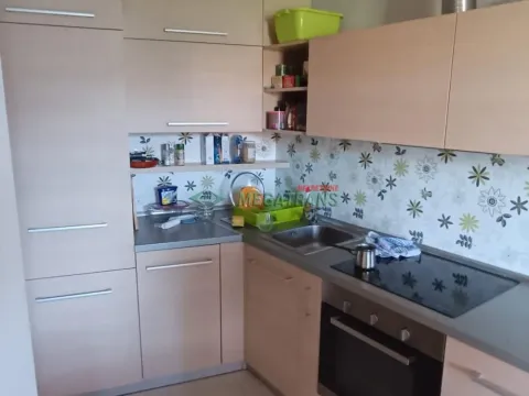 Izdavanje, dvosoban stan, 45m², Grbavica, Novi Sad Sve Podlokacije - image 4