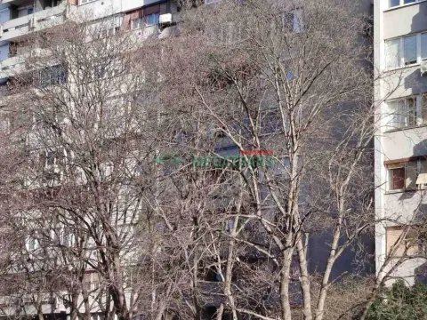 Prodaja, jednosoban stan, 42m², Zemun Sve Podlokacije, Beograd - image 13