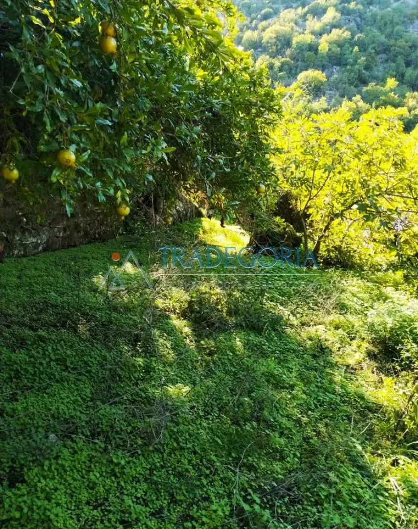 Prodaja, kuća, 210m², Podgorica, Crna Gora