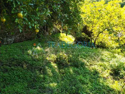 Prodaja, kuća, 210m², Podgorica, Crna Gora - image 11