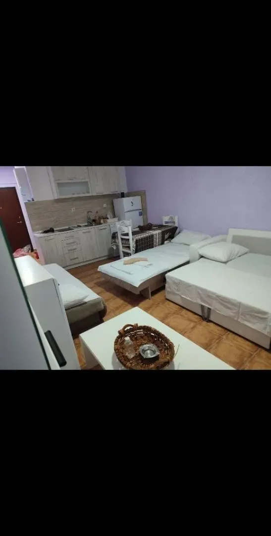 Living room with a kitchen and beds.