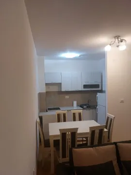 Izdavanje, jednosoban stan, 44m², City Kej, Podgorica - image 2