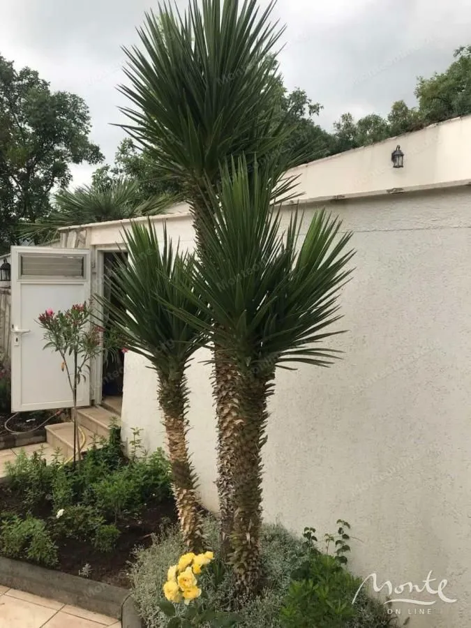 Sale, house, 200m², Bečići, Budva
