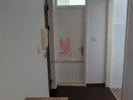 Izdavanje, dvosoban stan, 40m², Mladenovac, Beograd - image 15