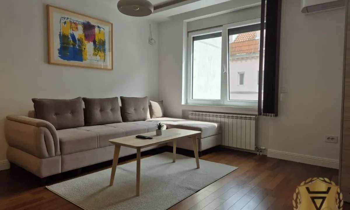 Izdavanje, dvosoban stan, 45m², Vračar Hram, Vračar Sve Podlokacije