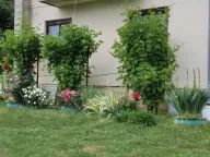 Sale, house, 88m², Pljevlja, Crna Gora - image 2