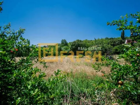 Prodaja, plac, 1475m², Farmaci, Podgorica - image 9