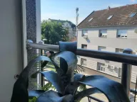 Izdavanje, jednosoban stan, 40m², Salajka, Novi Sad Sve Podlokacije - image 12