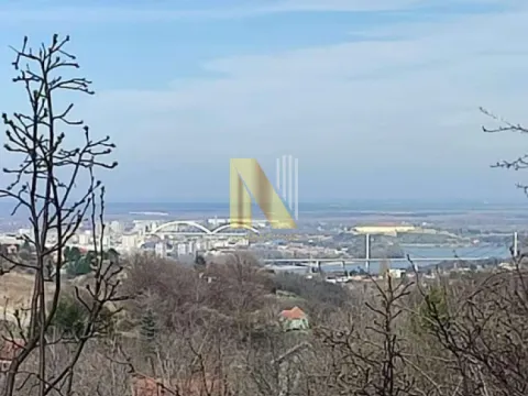 Prodaja, plac, 1600m², Sremska Kamenica, Petrovaradin - image 1