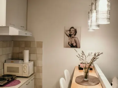 Izdavanje, garsonjera, 42m², Dubovica, Budva - image 3