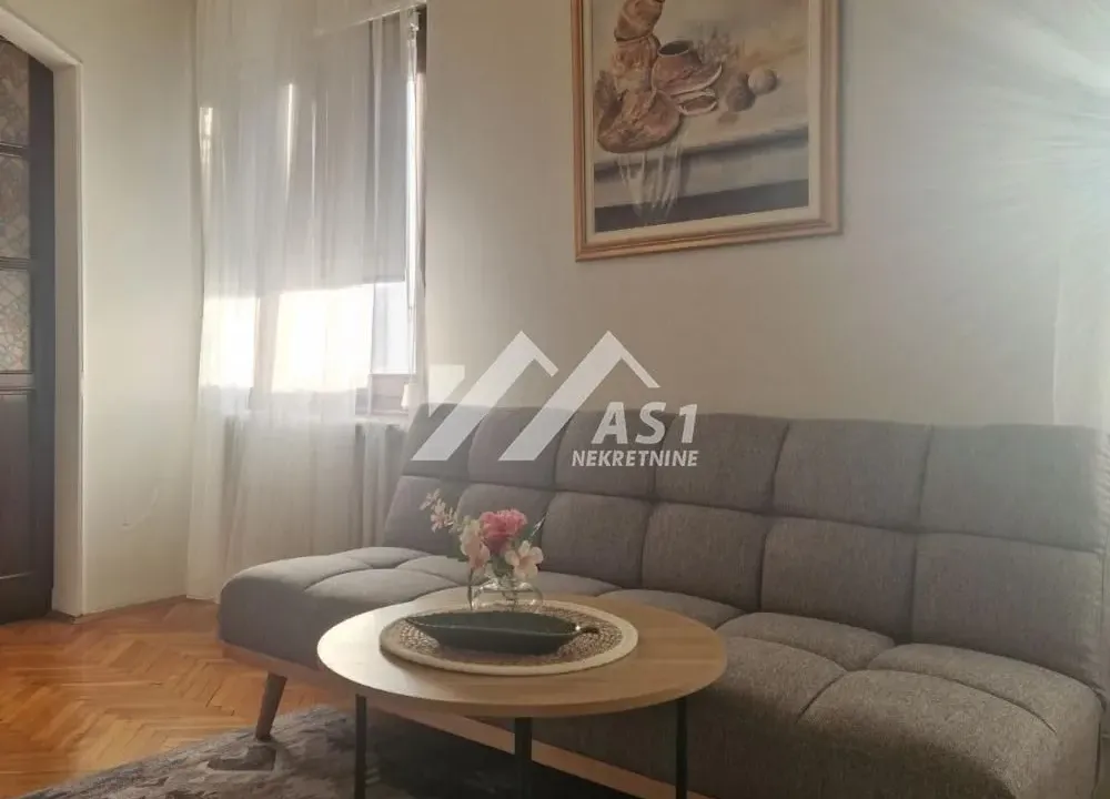 Izdavanje, dvosoban stan, 45m², Centar, Novi Sad