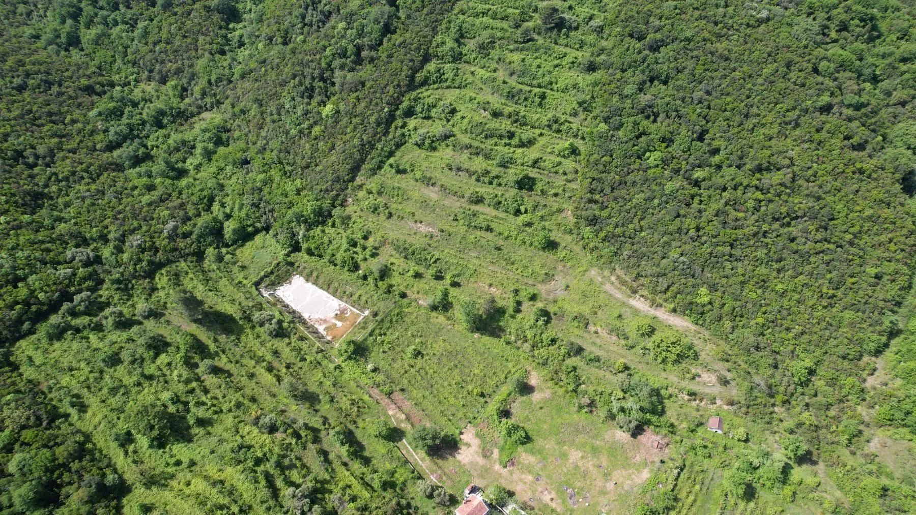 Prodaja, plac, 83000m², Radanovići, Kotor