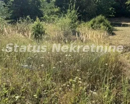 Prodaja, plac, 1673m², Sremska Kamenica, Petrovaradin - image 4