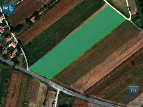 Prodaja, plac, 17900m², Mijatovac, Ćuprija - image 3