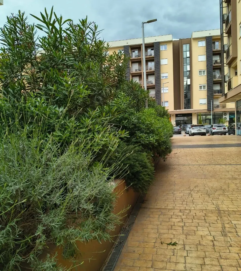 Rent, one bedroom apartment, 46m², New City, Podgorica