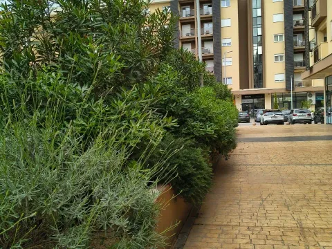 Rent, one bedroom apartment, 46m², New City, Podgorica - image 14