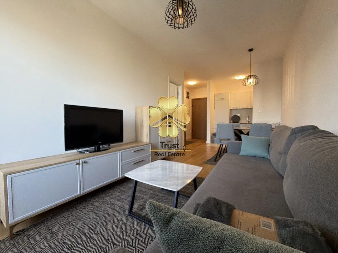 Izdavanje, jednosoban stan, 45m², Central Point, Podgorica