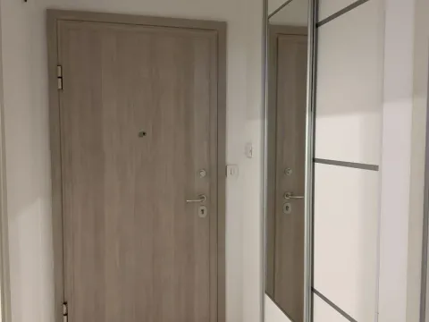 Izdavanje, jednosoban stan, 50m², Central Point, Podgorica - image 7