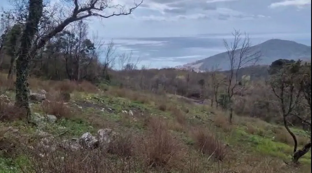 Prodaja, plac, 5200m², Budva, Crna Gora