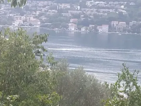 Land Lot for Sale, 3600m2, Stari Grad, Kotor Land Lot for Sale, 3600m2, Stari Grad, Kotor
