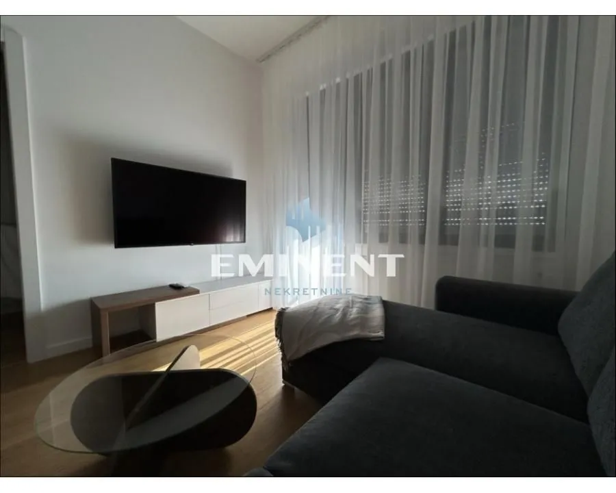 Izdavanje, dvosoban stan, 45m², Novi Beograd Blok 67, Novi Beograd Sve Podlokacije