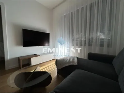 Izdavanje, dvosoban stan, 45m², Novi Beograd Blok 67, Novi Beograd Sve Podlokacije