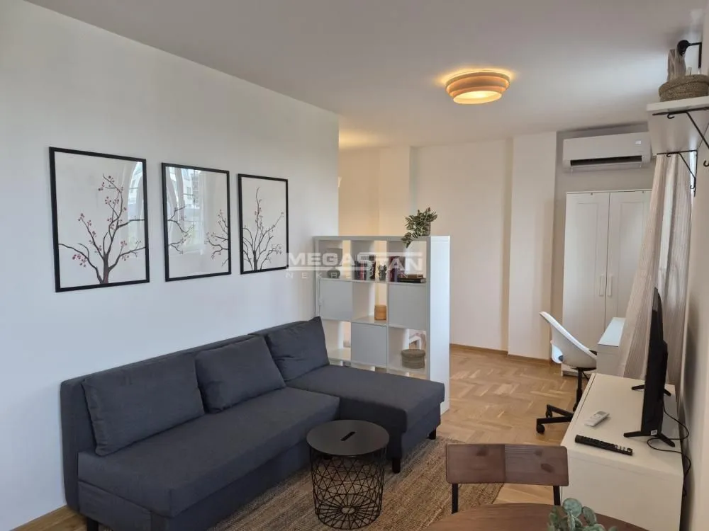 Rent, one bedroom apartment, 30m², Vračar Sve Podlokacije, Beograd