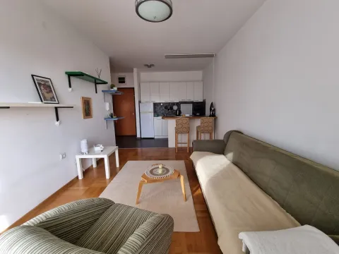 Rent, one bedroom apartment, 44m², Budva, Crna Gora - image 12