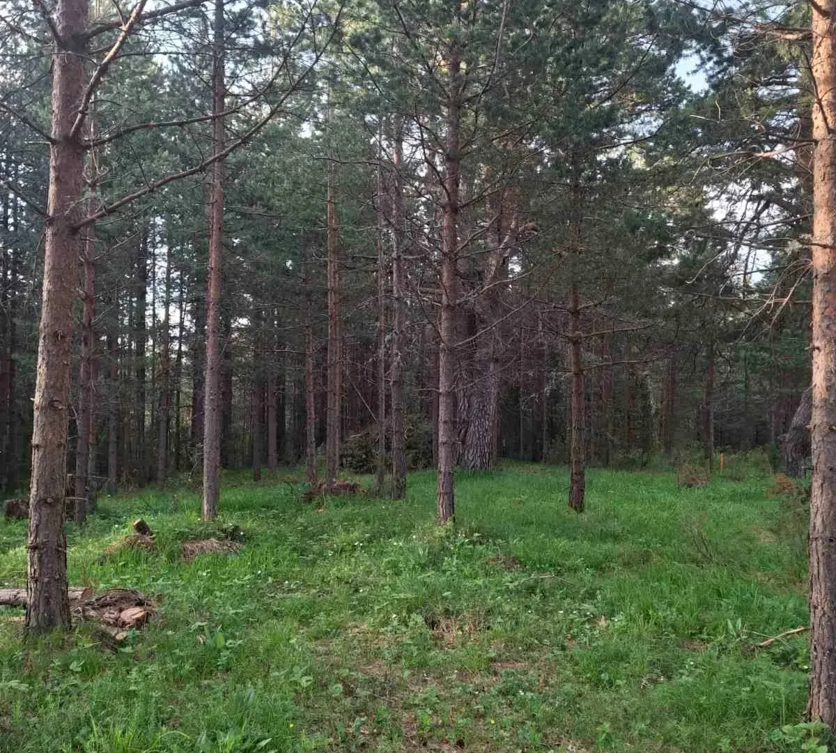 Prodaja, plac, 1150m², Žabljak, Crna Gora