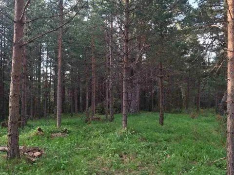 Prodaja, plac, 1150m², Žabljak, Crna Gora - image 3