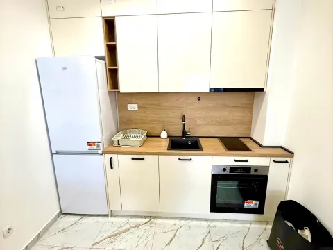 Izdavanje, jednosoban stan, 46m², Zagorič, Podgorica - image 6