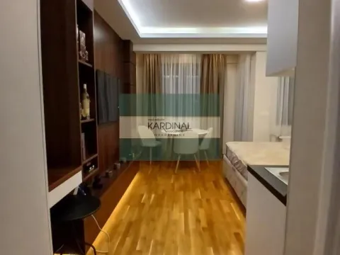 Prodaja, garsonjera, 29m², Aqua park, Jagodina - image 4