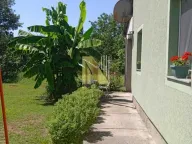 Rent, house, 91m², Kać, Novi Sad Sve Podlokacije - image 3