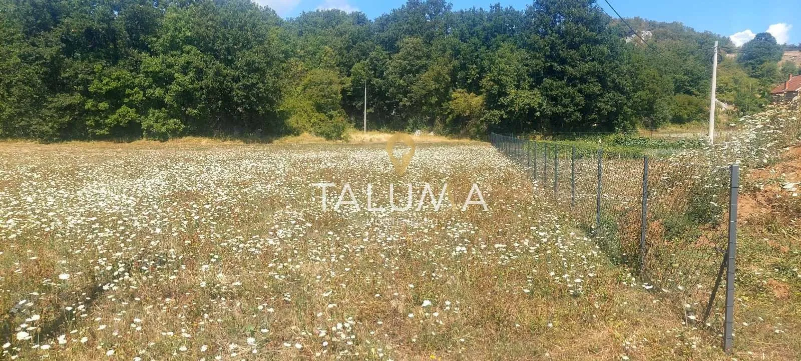 Prodaja, plac, 6679m², Glibavac, Nikšić