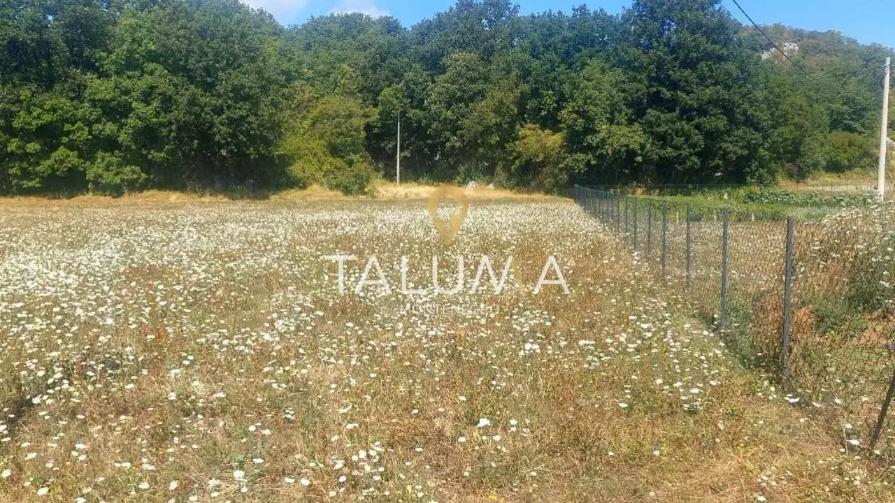 Prodaja, plac, 6679m², Glibavac, Nikšić