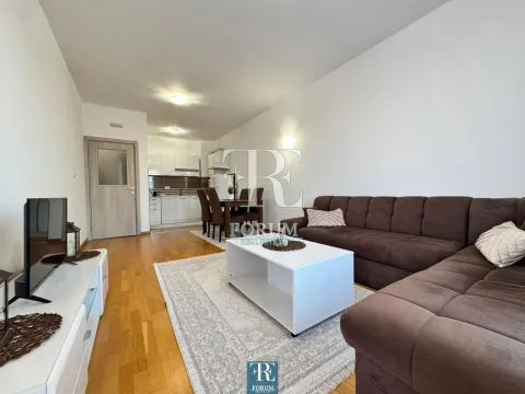 Rent, one bedroom apartment, 50m², Stari Aerodrom, Podgorica - image 3