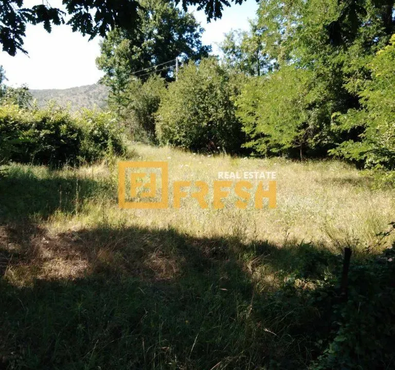 Prodaja, plac, 2150m², Ostalo, Podgorica