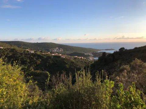 Prodaja, plac, 810m², Žanjice, Herceg Novi