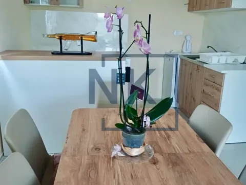 Rent, one bedroom apartment, 50m², Kruševac, Podgorica - image 6