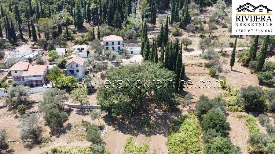 Sale, land lot, 2391m², Žvinje, Herceg Novi