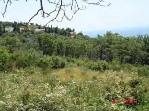 Prodaja, plac, 49600m², Utjeha, Bar - image 2