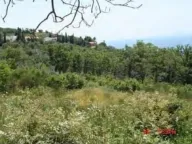 Prodaja, plac, 49600m², Utjeha, Bar - image 2