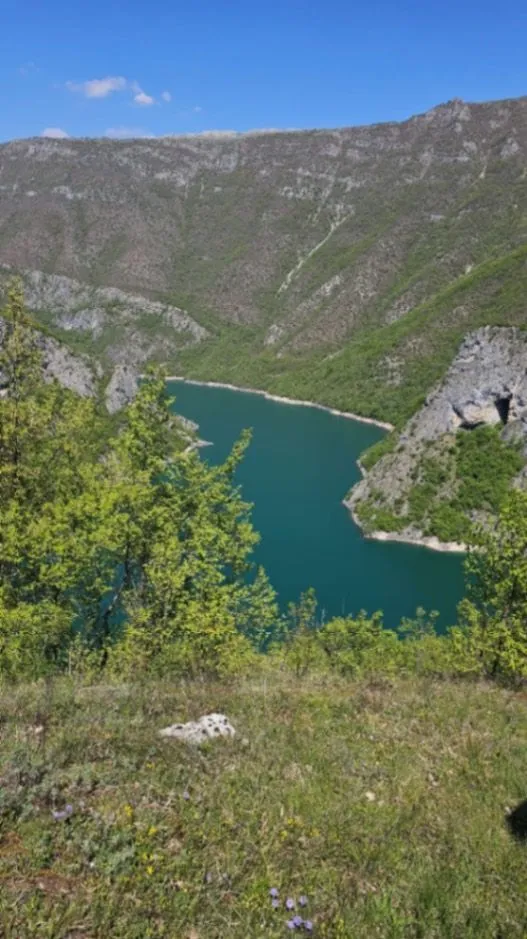 Sale, land lot, 15000m², Donja Brezna, Plužine