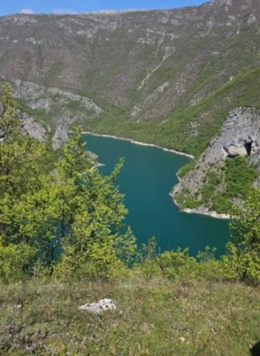 Prodaja, plac, 15000m², Donja Brezna, Plužine