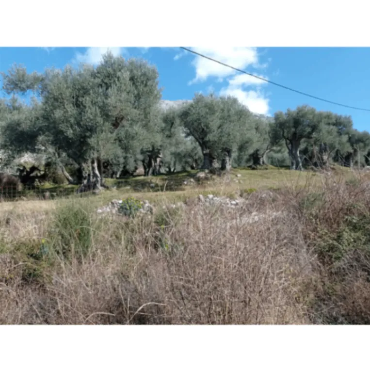 Prodaja, plac, 813m², Dobre Vode, Bar